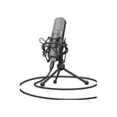 Trust Gaming Gxt 242 Lance Streaming Microphone.