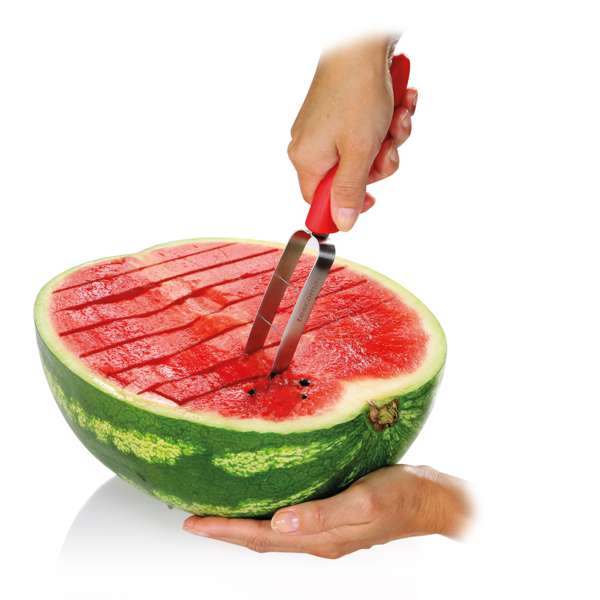 Tescoma Melon Cutter "Presto".