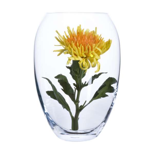 Bohemia Cristal Home Vase 225mm.