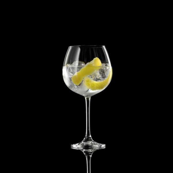 Bar Retro Gin Glasses 680ML (2).