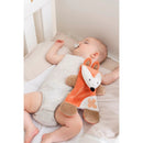 Nattou Doudou & Gelpack Fox.