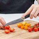 Zyliss Comfort Pro Serrated Pairing Knife 11cm.