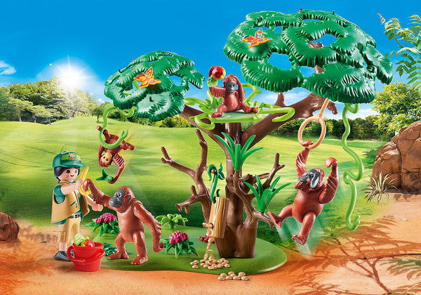 Orangutans with Tree.