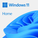 Microsoft Office Win Home 11