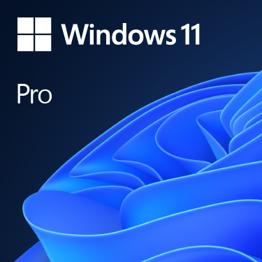 Microsoft Office Win Pro 11