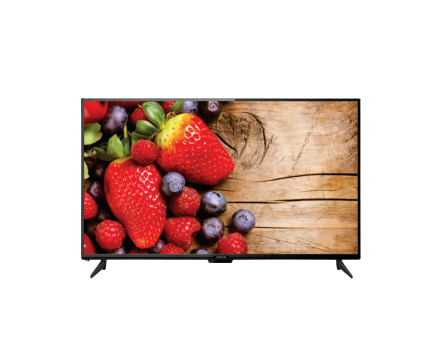 42” High Definition LED.