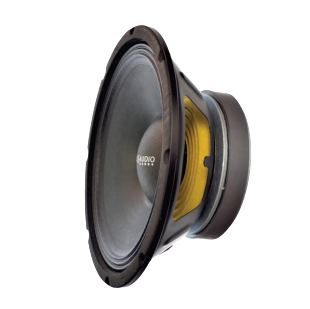 Y-dj Rhino 10" 300w Replacement Speaker.