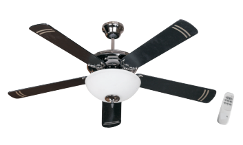 Ceiling Fan With Remote.