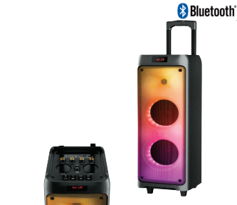 2x6.5" Bluetooth Trolley Speaker.