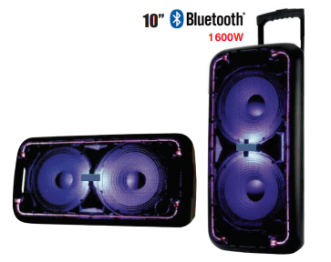 10" Bluetooth Trolley Speaker.