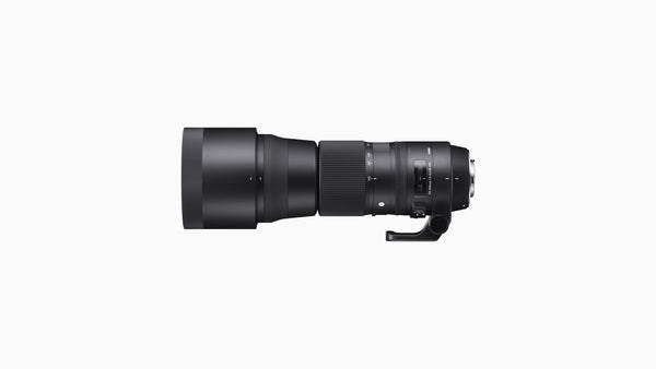 SIGMA LENS 150-600/5-6.3 CONTEMPORARY + CONVERTER  TC-1401 NIKON