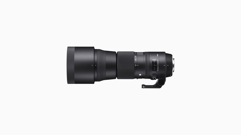 SIGMA LENS 150-600/5-6.3 CONTEMPORARY + CONVERTER  TC-1401 NIKON