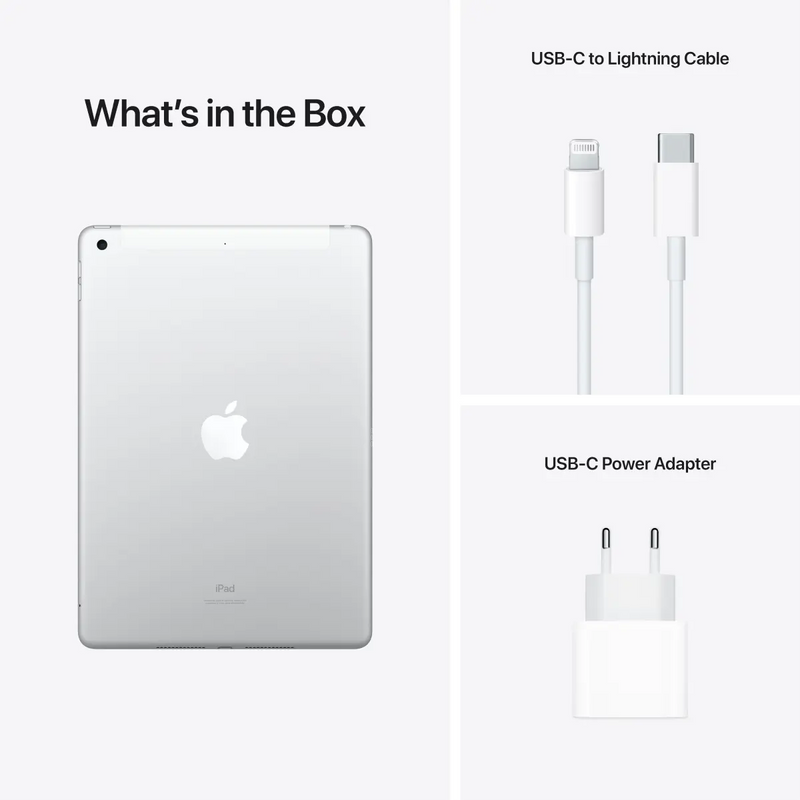 iPad 10.2-inch (9th gen) Wi-Fi + Cellular 256GB - Silver.