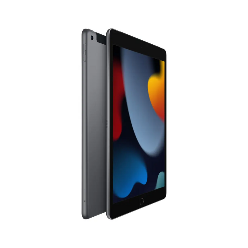 iPad 10.2-inch (9th gen) Wi-Fi + Cellular 256GB - Space Grey.