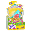 Little Live Pets Birds Single Pack.