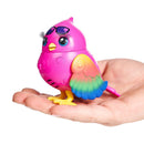 Little Live Pets Birds Single Pack.