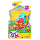 Little Live Pets Birds Single Pack.