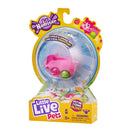 Little Live Pets Lil Hamster.