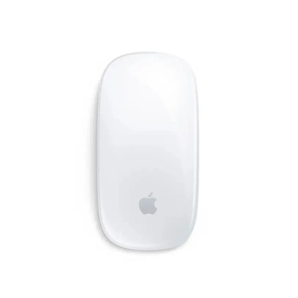 Apple Magic Mouse.
