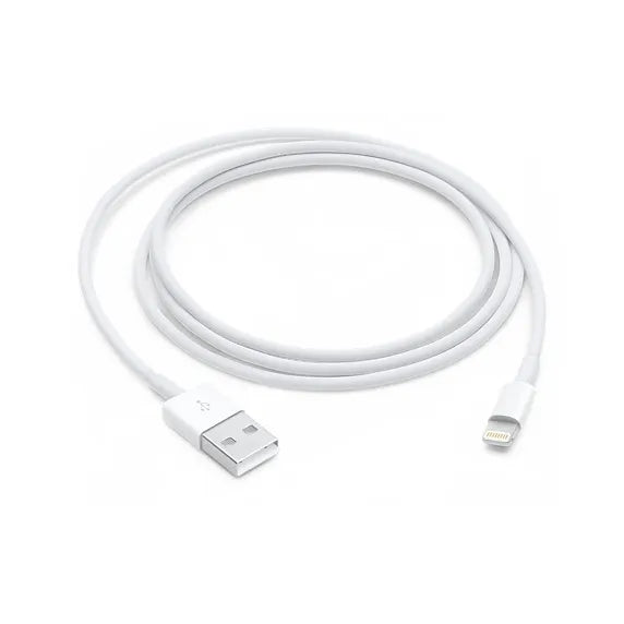 Lightning to USB Cable (1m).