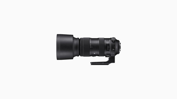 SIGMA LENS 60-600/4.5-6.3 SPORT NIKON