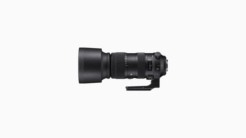 SIGMA LENS 60-600/4.5-6.3 SPORT NIKON