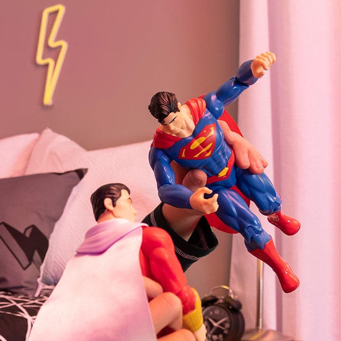 Dc 12" Figure Assortment.