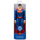 Dc 12" Figure Assortment.